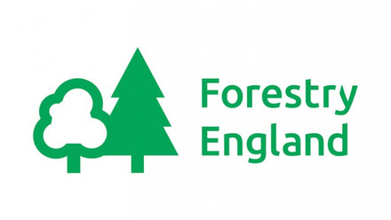 forest-logo-27F31.jpg