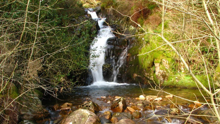 Ennerdale.jpg 2