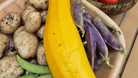 Veg.jpg 2