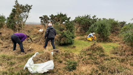 Gorse-clearance--1024x768.jpg