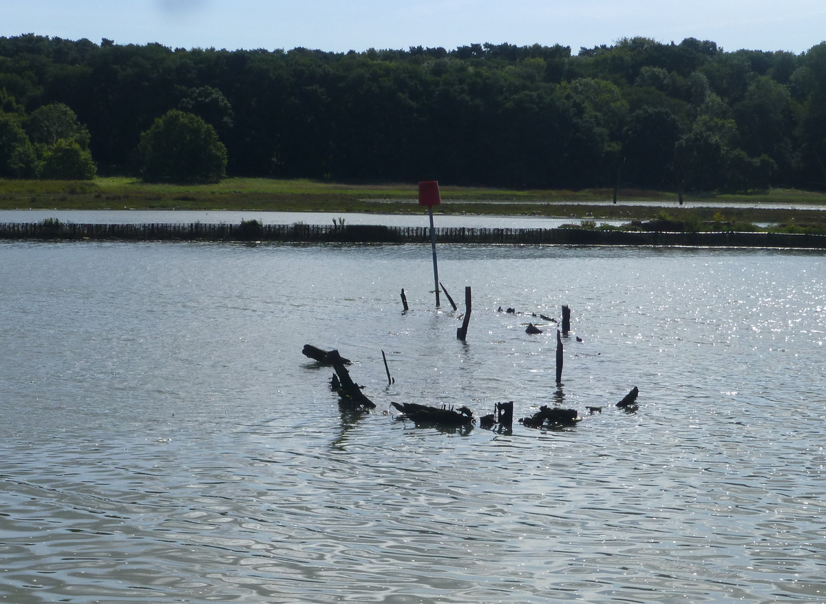 Sutton Hoo and the River Deben at Woodbridge