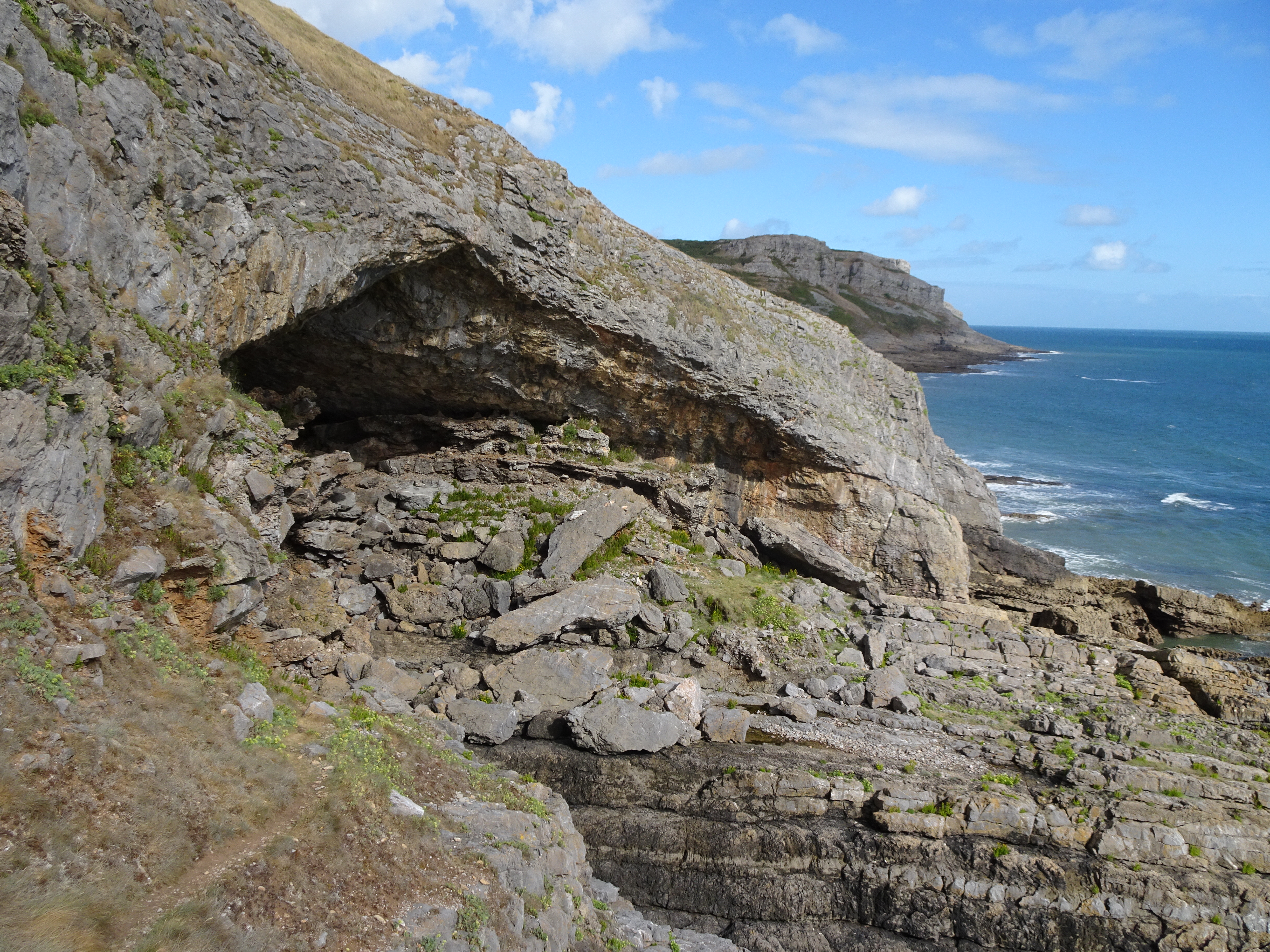 Plate 1 (002) NASH 26b.JPG