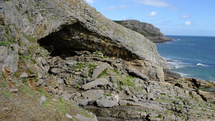 Plate 1 (002) NASH 26b.JPG