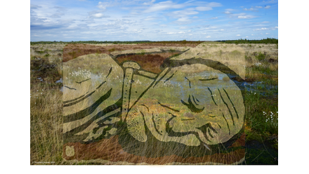 preserved-in-peat-image-f2b12.png
