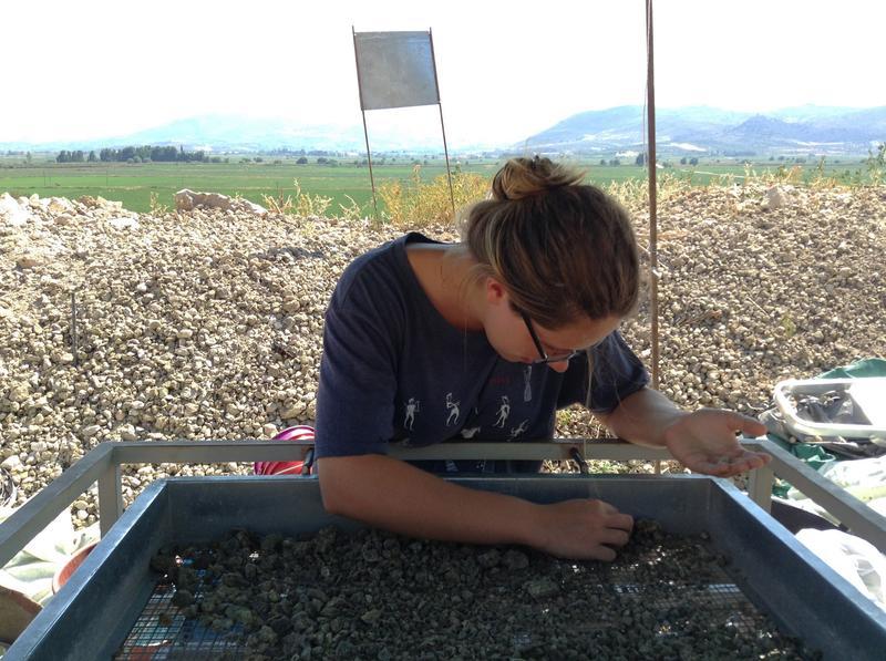 Sieving at Prosilio excavation 2017