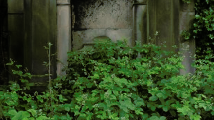 P1090768.gif 1