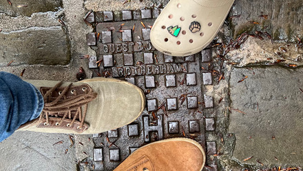 Feet on grid.jpg