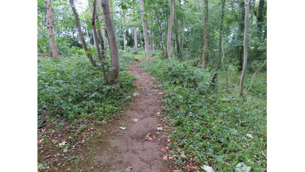 henge-1-c7714.JPG