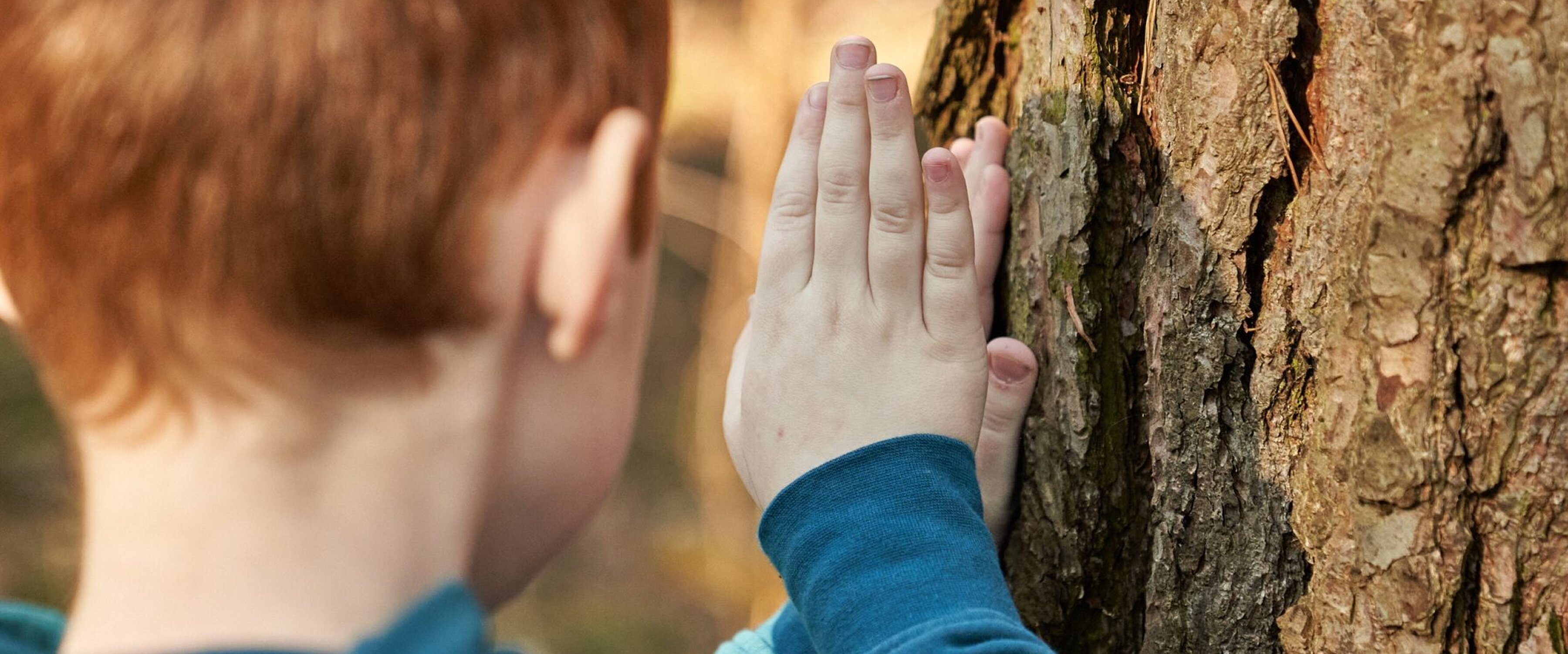 Boy touching bark of large tree.jpg