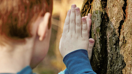 Boy touching bark of large tree.jpg