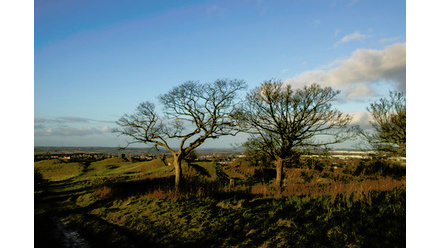 five-knolls-lisa-hopkins.jpg 1