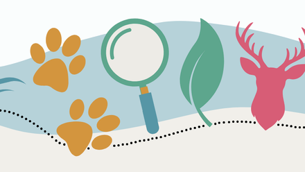 Festival 2026 banner.png