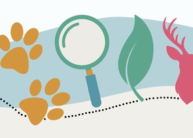 Festival 2026 banner.png