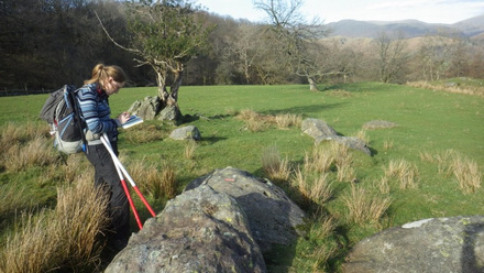 Lydia_Landscape+survey.jpg