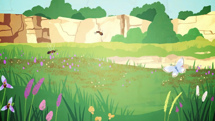 Swaddy-Well-Biodiversity-Peteroborough-Geoanimation-Still-1106F.png