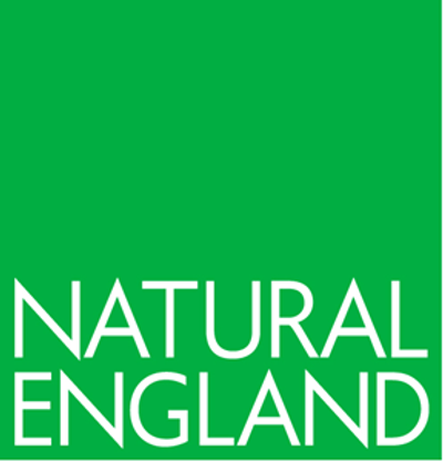 NE-logo2.png