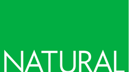 NE-logo2.png