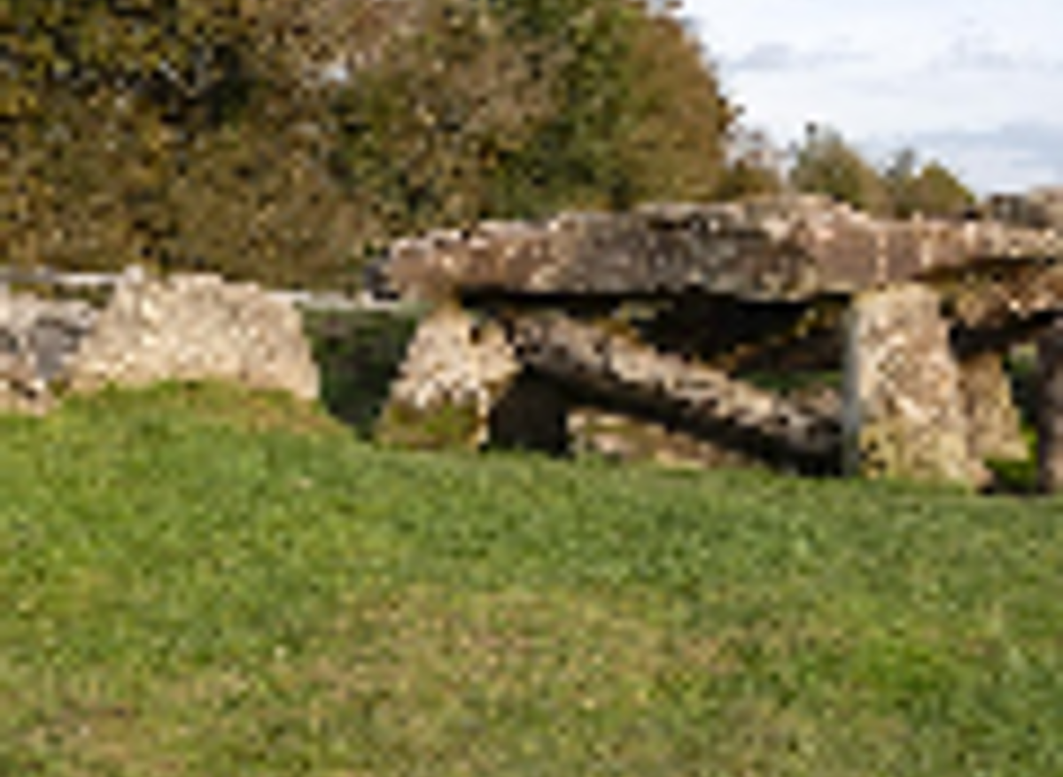 Arthur's Stone Excavation Guided Tours July 2023 Council for British