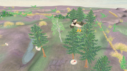 Digging-with-Peat-the-Lapwing-flight-7B328.png