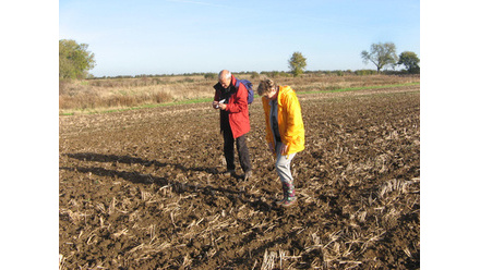 oadby-wigston-fieldwalking-2-e9d51.jpg