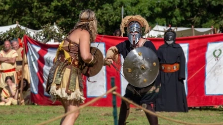 Gladiators pic.webp