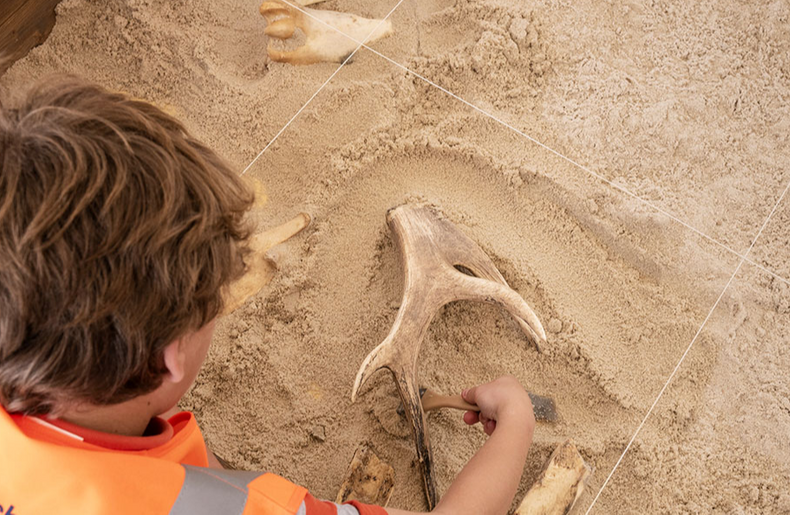 European Archaeology Days