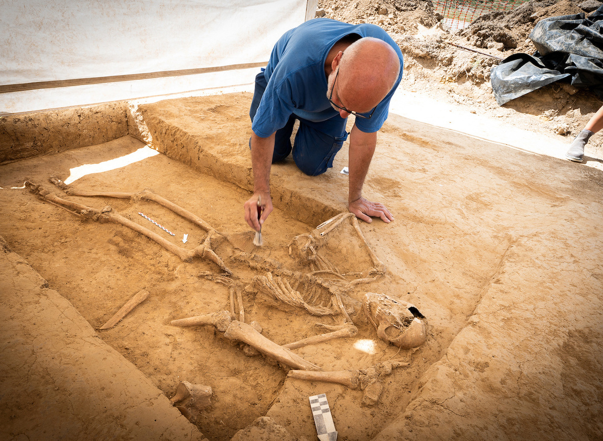 1. Human skeleton