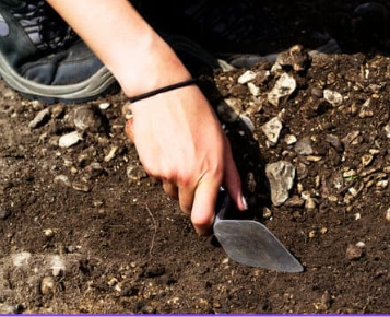 Screenshot 2025-10-14 145434.png