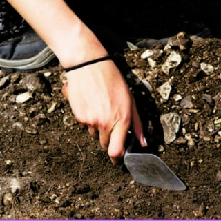 Screenshot 2025-10-14 145434.png