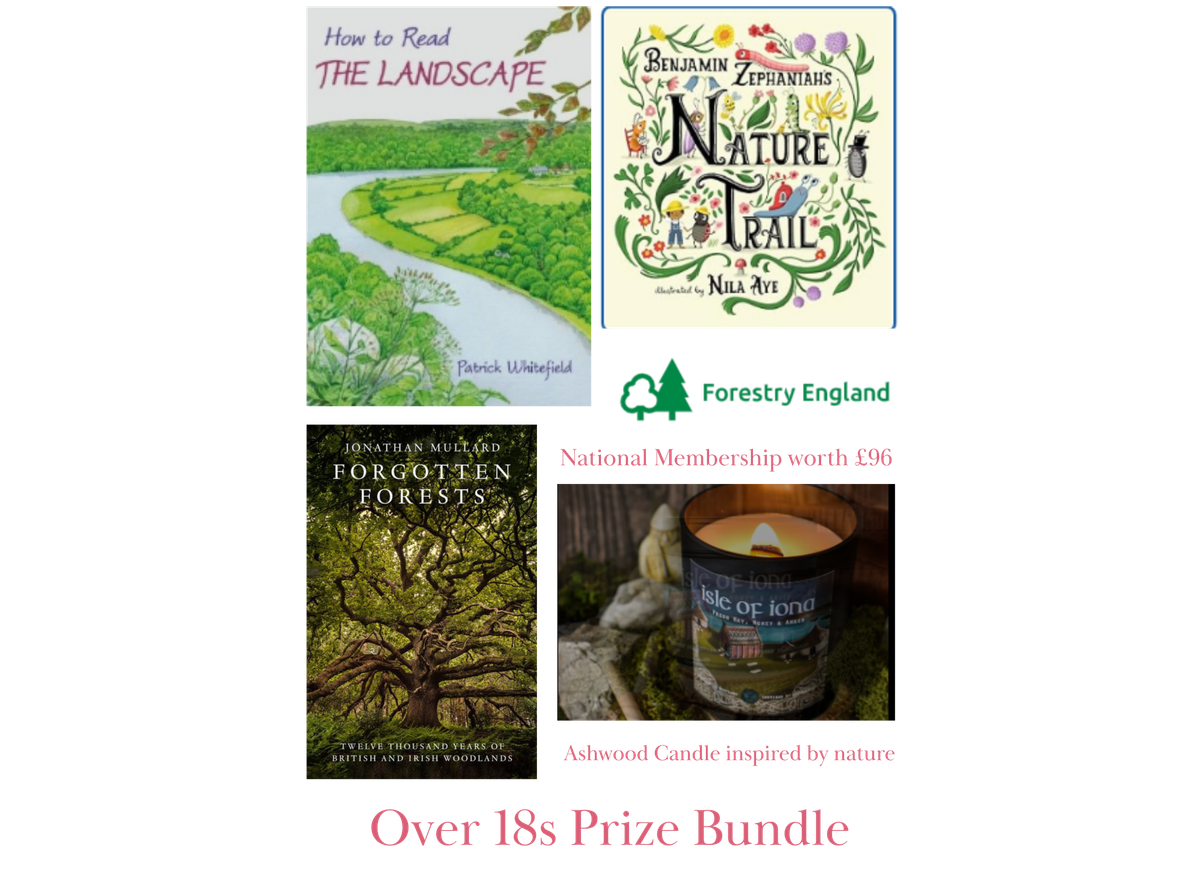 18+ Prize Bundle