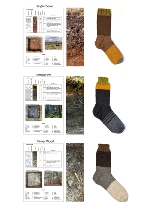 Soil socks and test pit horizons from Emma’s PhD