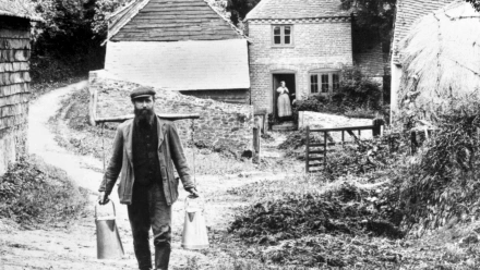 the-francis-frith-collection-57877ax-hindhead-george-mayes-and-broom-squires-cottages-1907-web-033ad.webp