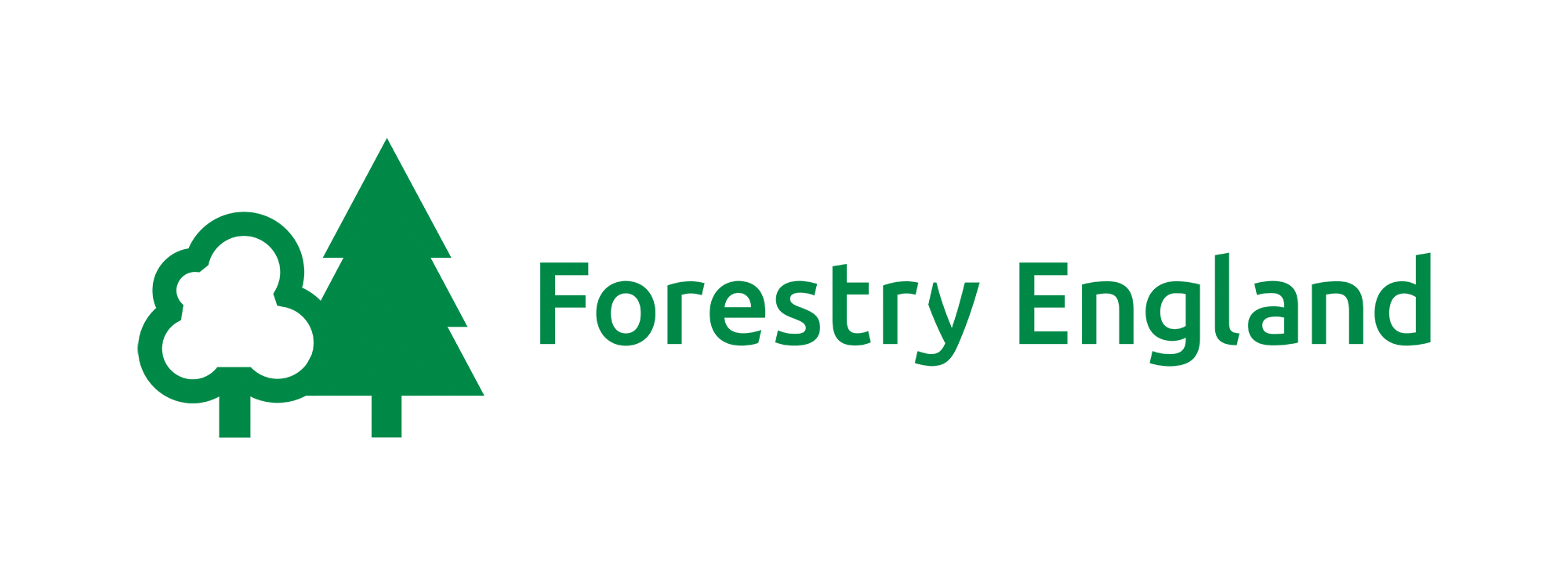 FE_Primary_Logo_Green.png