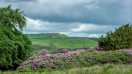 View-towards-Burbage-A2596.jpg 1
