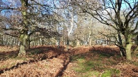 Picture3.jpg 4