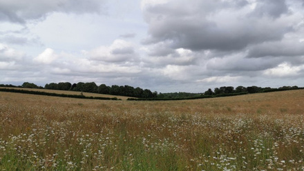 Barton+Meadows_RPelling.jpg
