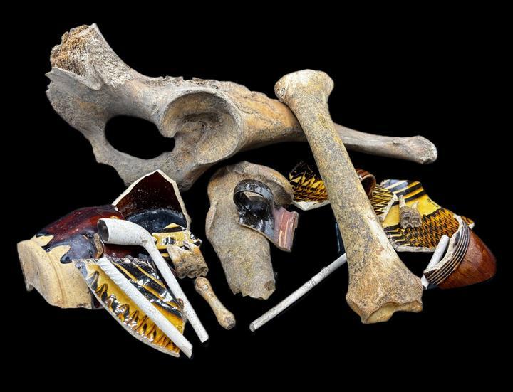 Pile of animal bone mixed with ceramic sherds and clay pipe