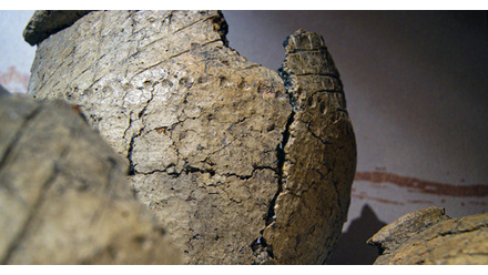 ccm-burial-urns-close-up-cluster-landscape-8bb6e.jpg