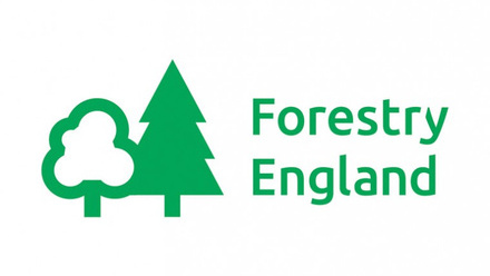 forest-logo.jpg 37