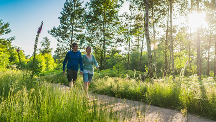 Heritage+trail+at+High+Lodge_0.jpg 1