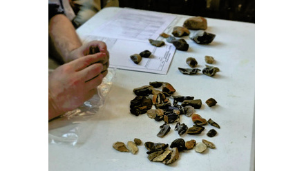 archaeological-finds-session-2024.jpg