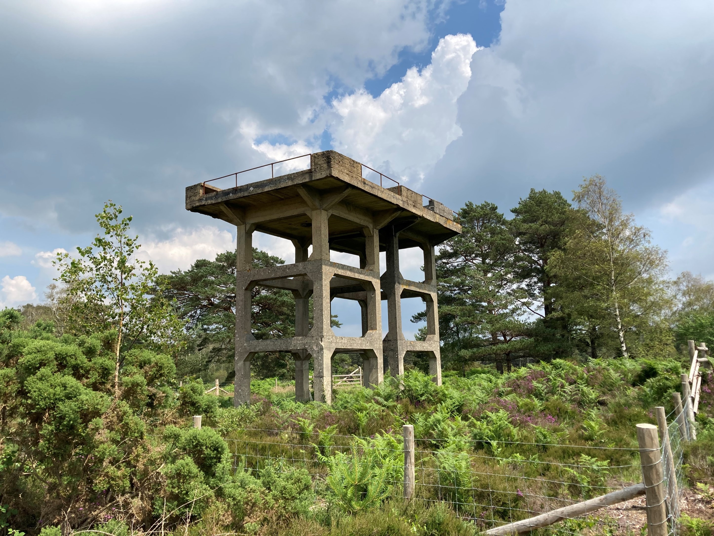 Sandford Heath Light Anti Aircraft Tower - Holton Heath NNR (C) NE and Steve Hall.jpg