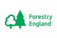 forest-logo-27F31.jpg 1