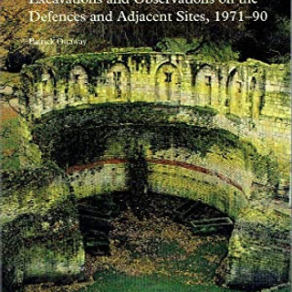 excavations and observations.jpg