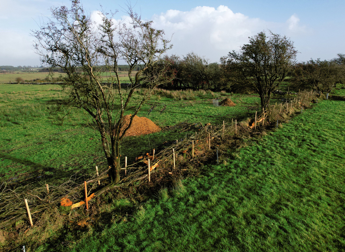 Farming Rathcroghan 1