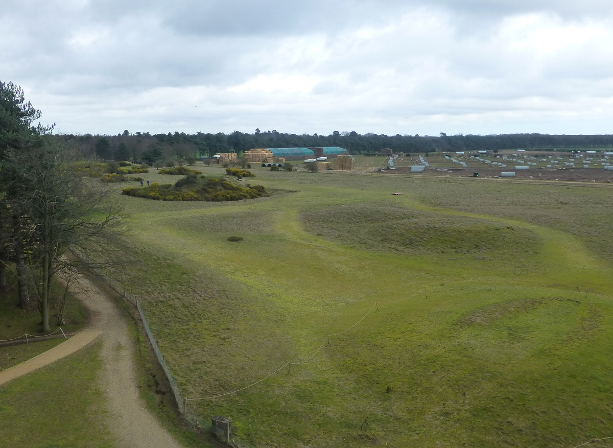 Sutton Hoo and the River Deben at Woodbridge