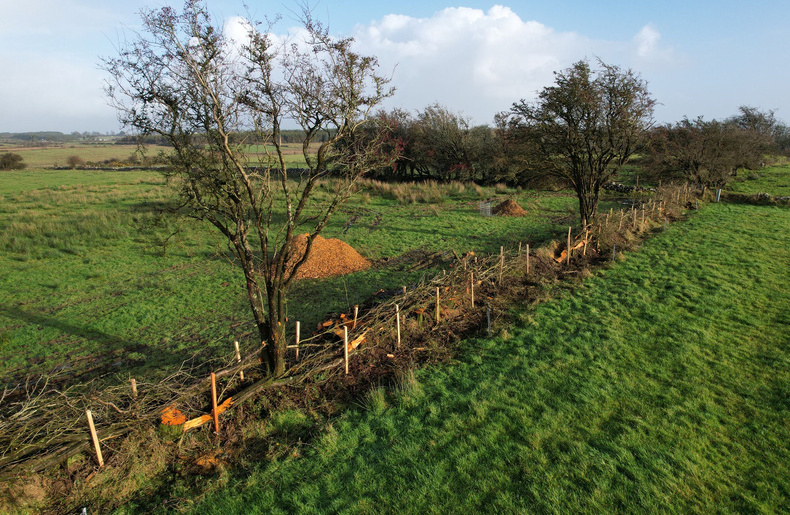 Farming Rathcroghan