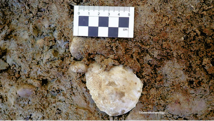 palaeolithic-handaxe-oxford-archaeology-for-advert.jpg