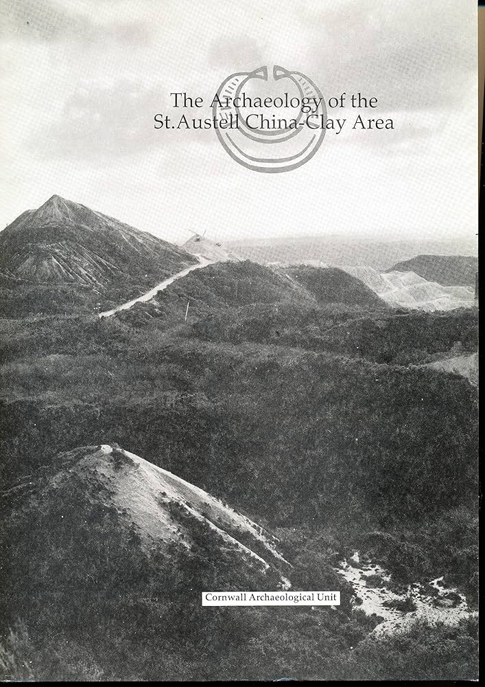 A1IfLPlzIBL._AC_UF894,1000_QL80_.jpg