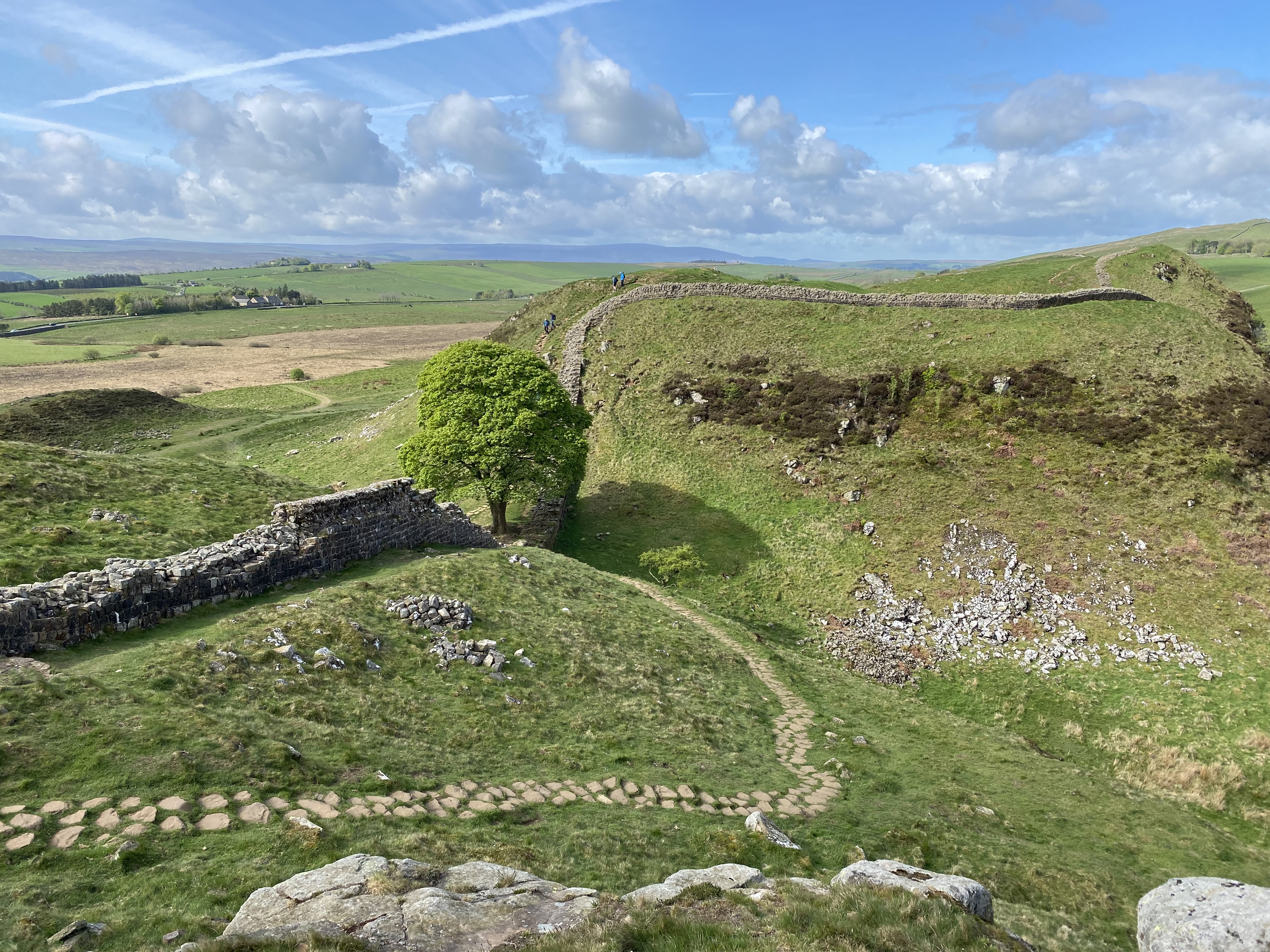 Sycamore Gap.jpg